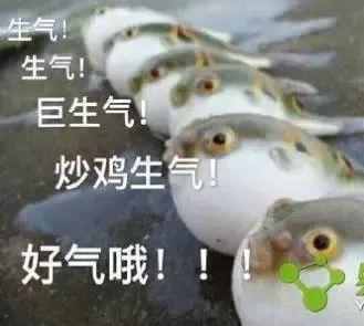 鐘元不止一個 1億新生代農(nóng)民工未婚現(xiàn)狀與業(yè)余生活剖析