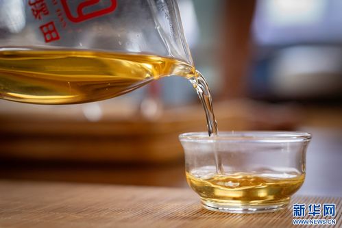 萬千氣象看云南 | 鳳慶春茶開采，茶香四溢的夏秋滋味