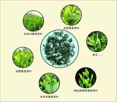 第三屆中國國際茶葉博覽會 麗水香茶攜九縣名茶強勢出擊，茶香席卷杭城