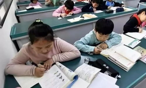 中小學課后服務(wù)全面鋪開，教育咨詢助力家長滿意度提升